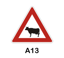 A13 - zvířata